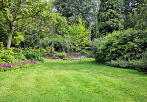 Optimiser l'expérience du jardin à Annonay